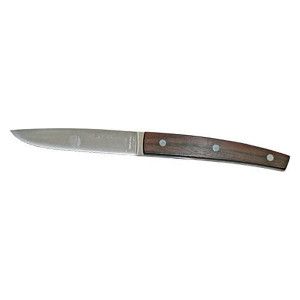 Нож для стейка ICEL Steak Knife 23300.ST06000.110